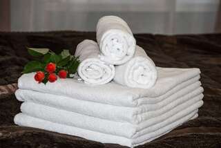 Апартаменты Гранд на Кронверкском Санкт-Петербург Стандарт-4